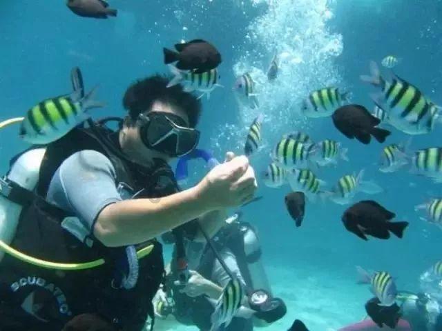 星浦小学课题研究专题培训暨青穗成长营活动