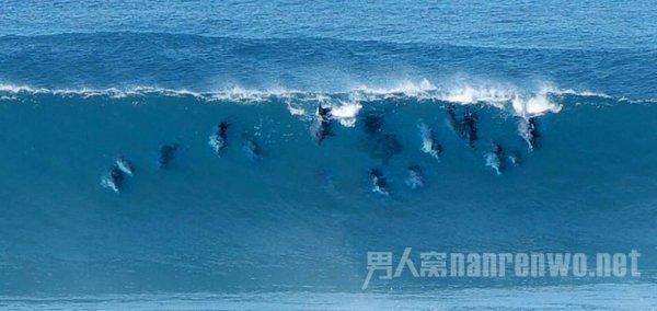 帕杜:利物浦为卡罗尔出创纪录的3500万镑,我都惊呆了